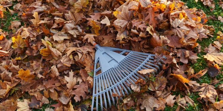 Рязанские экоактивисты перенесли крупный осенний субботник на весну из-за непогоды Рязанские экоактивисты перенесли крупный осенний субботник на весну из-за непогоды