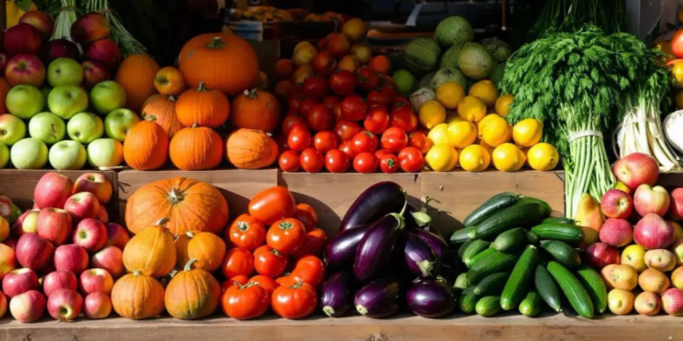 С начала 2025 года за незаконную торговлю в Рязани оштрафовали 1775 человек