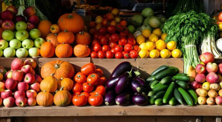 С начала 2025 года за незаконную торговлю в Рязани оштрафовали 1775 человек