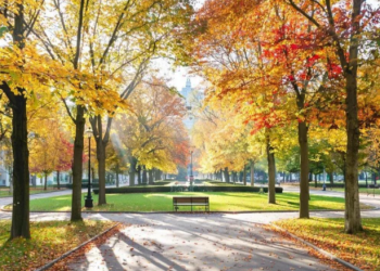 Рязанцев приглашают на осенний субботник 25 октября Рязанцев приглашают на осенний субботник 25 октября