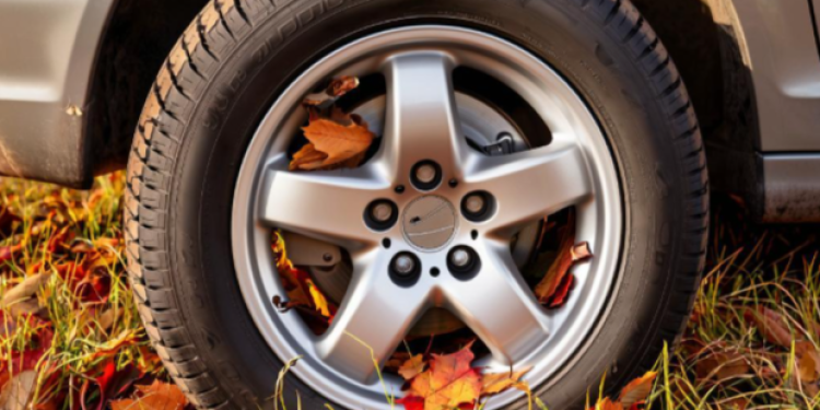 С начала года в Рязани за парковку в зеленой зоне оштрафовали 10 511 водителей-нарушителей