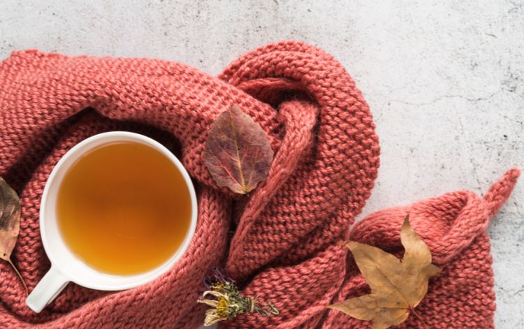 Вильфанд: середина ноября в Центральной России будет теплой