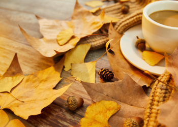 Синоптик Тишковец: неделя в Центральной России начнется с тепла