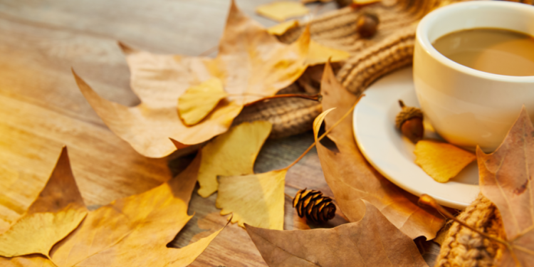 Синоптик Тишковец: неделя в Центральной России начнется с тепла