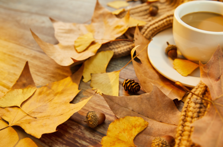 Синоптик Тишковец: неделя в Центральной России начнется с тепла