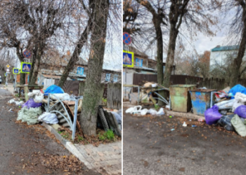 Рязанка пожаловалась на неубранный мусор в центре города