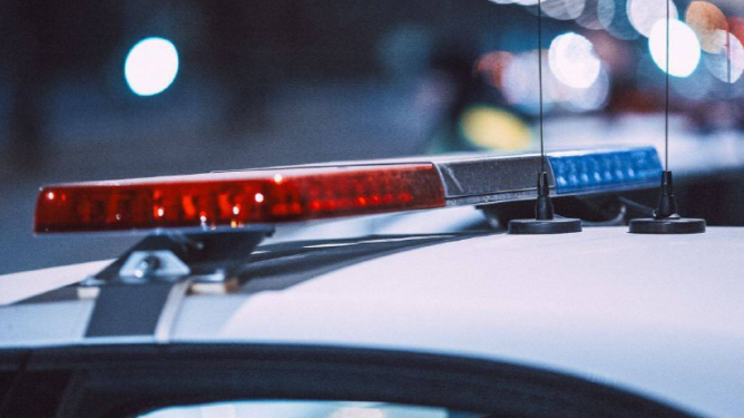 12 ноября на рязанских дорогах пройдут рейды по выявлению заведомо подложных госномеров