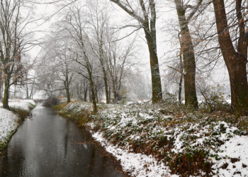 Вильфанд предупредил россиян о выпадении первого снега в выходные Вильфанд предупредил россиян о выпадении первого снега в выходные