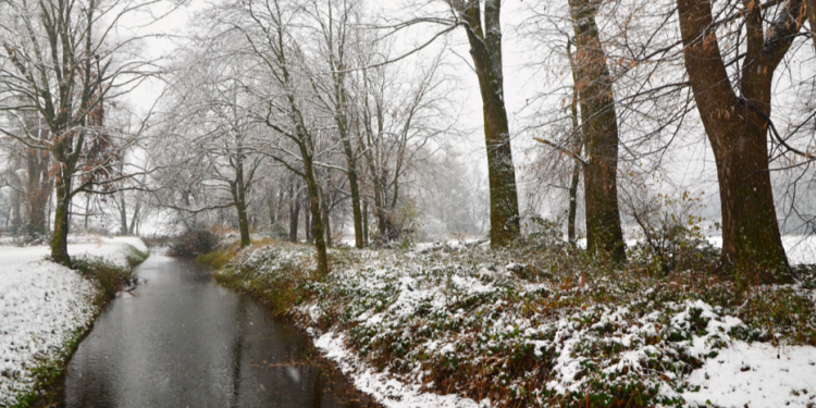 Вильфанд предупредил россиян о выпадении первого снега в выходные