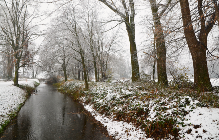 Вильфанд предупредил россиян о выпадении первого снега в выходные
