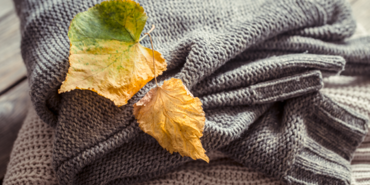 В пятницу в Рязанской области ожидается до +8 градусов