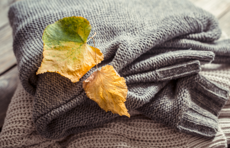 В пятницу в Рязанской области ожидается до +8 градусов