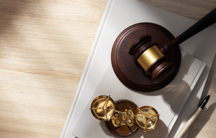 Актрису Яну Троянову* заочно приговорили к 8 годам колонии по делу о призывах к терроризму