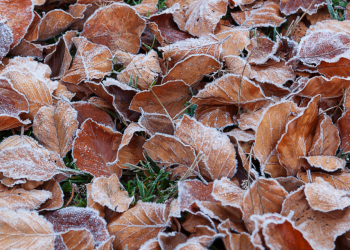 Синоптик Позднякова дала прогноз на предстоящие выходные в Центральной России Синоптик Позднякова дала прогноз на предстоящие выходные в Центральной России