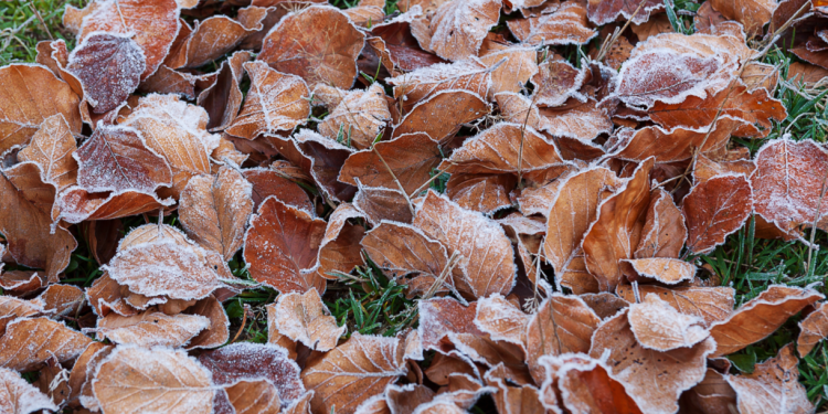 Синоптик Позднякова дала прогноз на предстоящие выходные в Центральной России