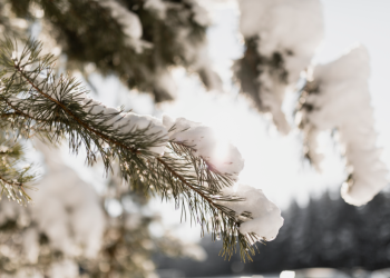 Синоптик Тишковец рассказал, когда в Центральную Россию придет настоящая зима Синоптик Тишковец рассказал, когда в Центральную Россию придет настоящая зима