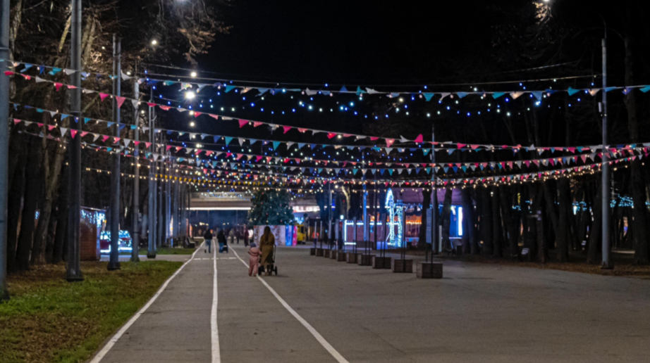 Рязанский Лесопарк украсили к Новому году