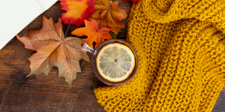 Метеоролог Вильфанд: на территории России установилась теплая погода