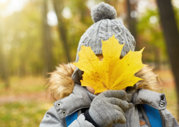 В ночь на среду в Рязанской области похолодает до -3 градусов