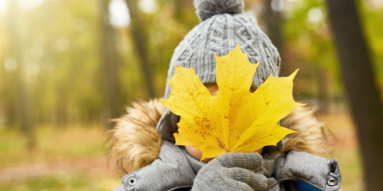 В ночь на среду в Рязанской области похолодает до -3 градусов В ночь на среду в Рязанской области похолодает до -3 градусов