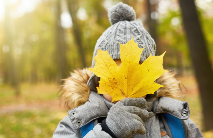 В ночь на среду в Рязанской области похолодает до -3 градусов