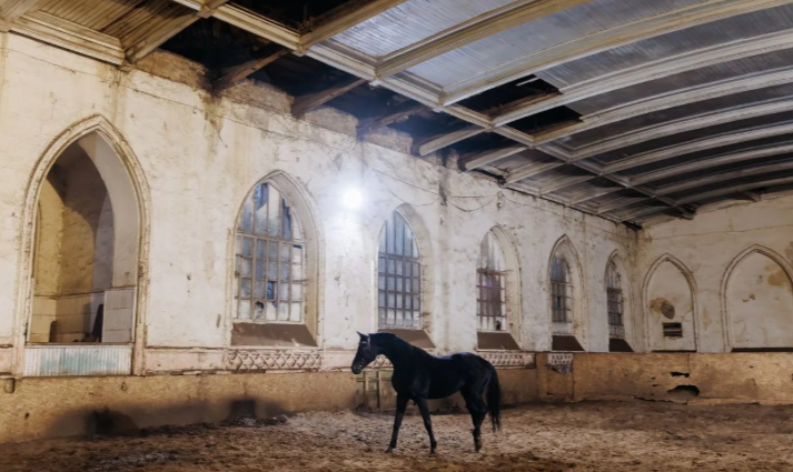 Малков: Старожиловский конный завод приведут в порядок