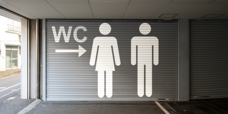 На время проведения «Новогодней столицы» в Рязани установят «Премиум» туалеты