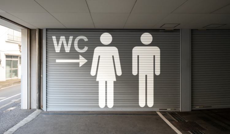 На время проведения "Новогодней столицы" в Рязани установят "Премиум" туалеты