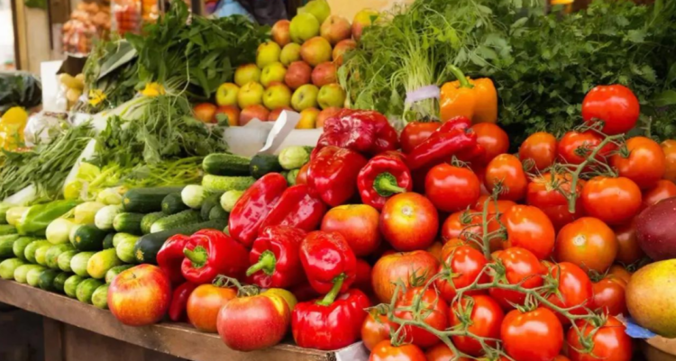 С начала 2025 года за незаконную торговлю оштрафовали 1922 рязанца