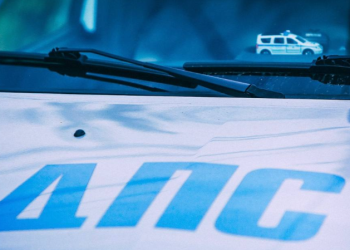 Рязанские полицейские отчитались о результатах рейда по поиску машин с заведомо подложными номерами