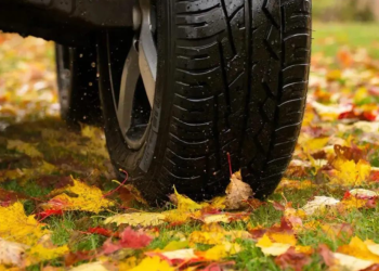 С начала года за парковку на газонах оштрафовали 11 350 рязанских водителей