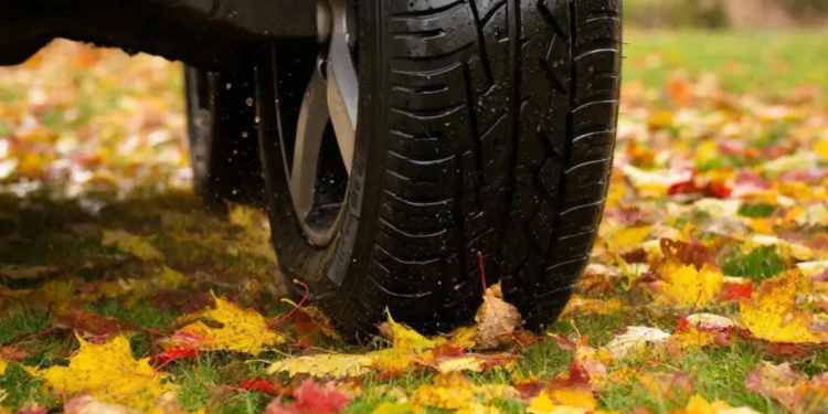 С начала года за парковку на газонах оштрафовали 11 350 рязанских водителей