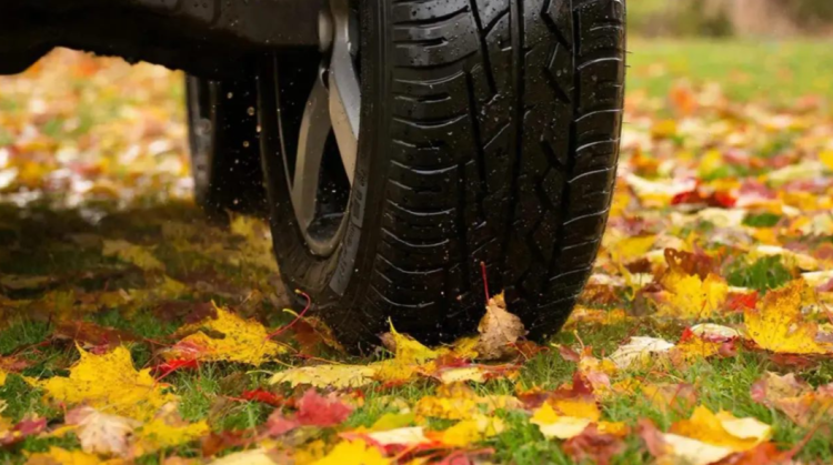 С начала года за парковку на газонах оштрафовали 11 350 рязанских водителей