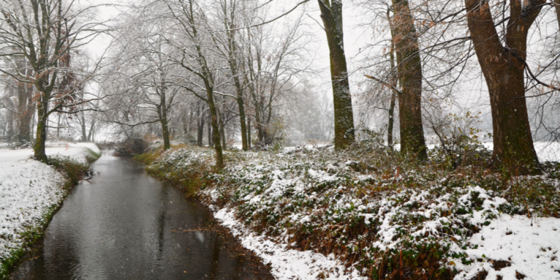 В субботу в Рязанской области ожидается дождь, мокрый снег и до +9 градусов