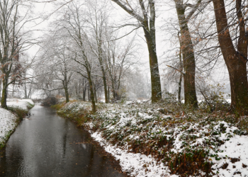 В субботу в Рязанской области ожидается дождь, мокрый снег и до +9 градусов
