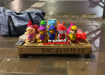 Рязанка рассказала о мужчине, который недавно выгуливал игрушечную собачку на улице