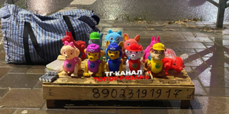 Рязанка рассказала о мужчине, который недавно выгуливал игрушечную собачку на улице