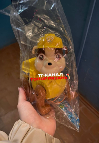 Рязанка рассказала о мужчине, который недавно выгуливал игрушечную собачку на улице