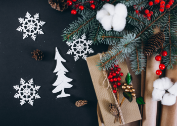 Рязань включили в список городов, в которых взлетела цена посуточной аренды квартир к Новому году