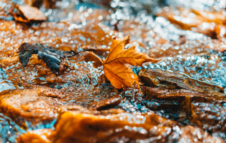 В ночь на вторник в Рязанской области похолодает до -6 градусов