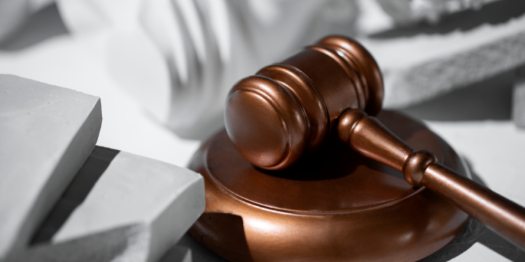 Подана апелляция на приговор экс-главврача рязанского Центра гигиены и эпидемиологии Паненковой