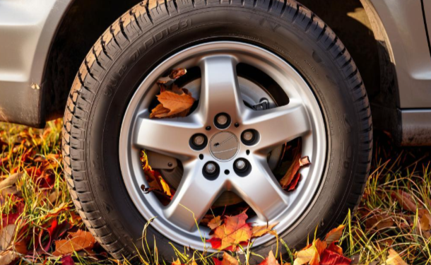 С начала 2025 года в Рязани за парковку в зеленой зоне оштрафовали 11 456 водителей