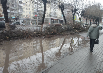 Рязанец пожаловался на оставленные после спиливания ветки