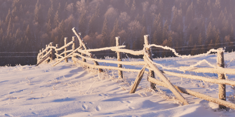Леус: «холодное вторжение» в Центральной России ожидается к концу декабря