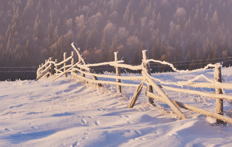 Леус: "холодное вторжение" в Центральной России ожидается к концу декабря