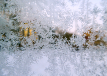 В Рязанском регионе объявлен желтый уровень погодной опасности