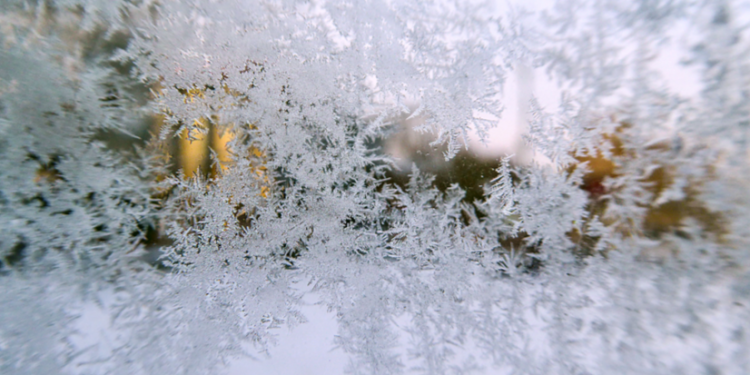 В Рязанском регионе объявлен желтый уровень погодной опасности