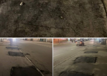 На улице Горького места для высадки деревьев заасфальтировали На улице Горького места для высадки деревьев заасфальтировали