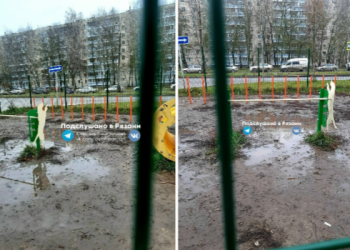 Рязанцы остались недовольны месторасположением площадки для собак в Канищеве