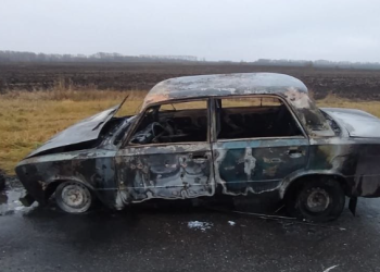 В Шацком районе сгорела легковушка